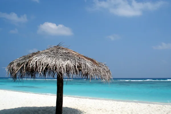 Discover the Serene Lakshadweep Islands Escape 2024 Discover the Serene Lakshadweep Islands Escape 2024